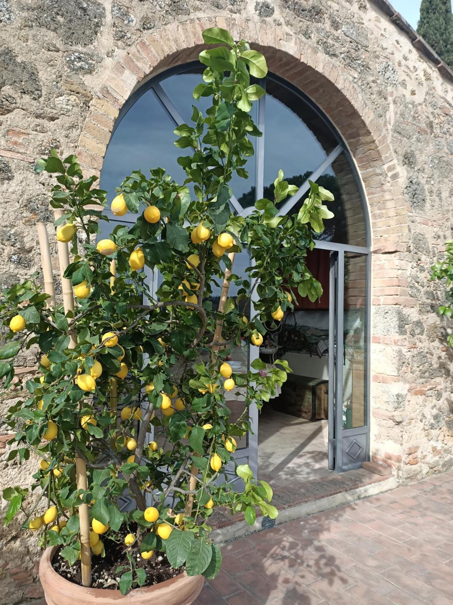 Relais Antico Borgo San Lorenzo Poggibonsi Exterior photo